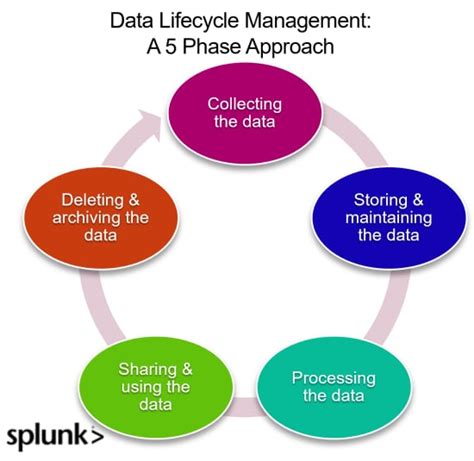 Toradh íomhá ar Data Lifecycle Process