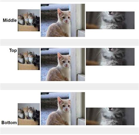Vertical Align CSS Div に対する画像結果