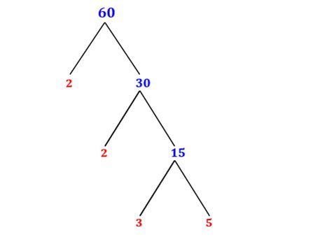 Image result for What Are Factors of 60