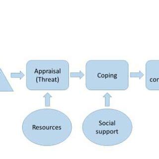 Image result for Limitations of Transactional Stress Theory