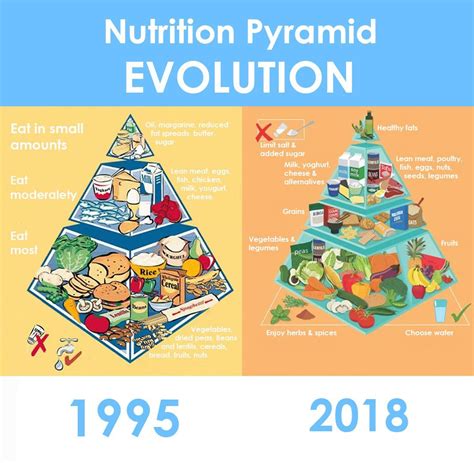 Image result for Nutrition Pyramid Nin