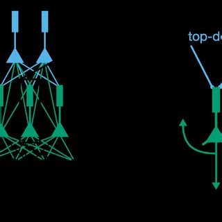 Image result for Credit Assignment Problem in Neural Networks