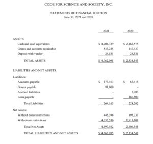 Image result for NonProfit Financial Statement Examples