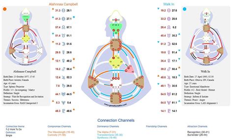 Human Design Connection Chart に対する画像結果