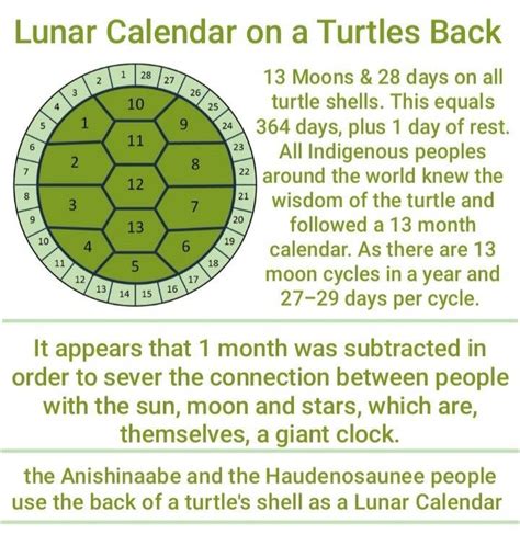 Toradh íomhá ar Turtle Shell Calendar