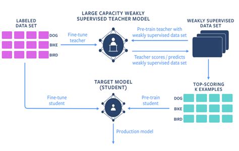 Image result for Weakly Supervised Learning