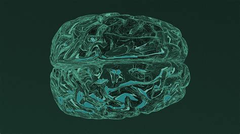 Image result for Atkinson Multi-Store Model