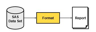 Toradh íomhá ar SAS Format Statement Example