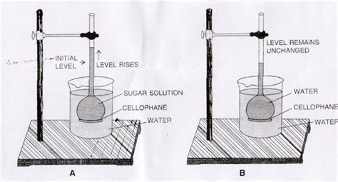 Toradh íomhá ar Observation in Diffusion Lab