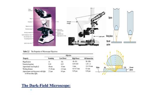 Image result for 7 Different Types of Microscope