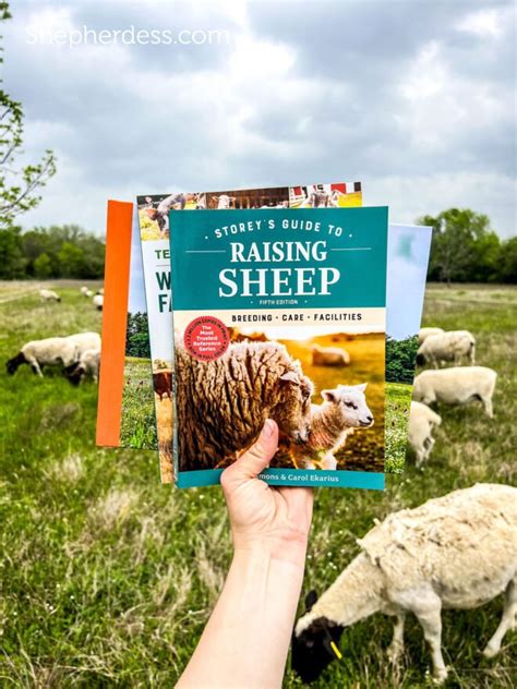 Image result for Guide to Sheep Book