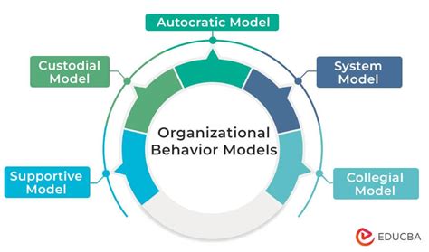 Afbeeldingsresultaten voor Basic Organizational Behavior Model