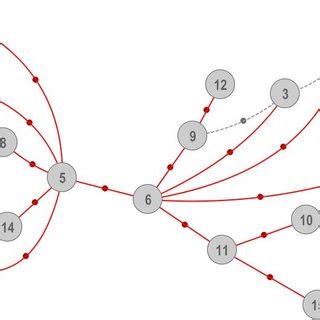 Image result for Step by Step Algorithm C++