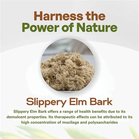 Image result for Elm Tree Bark Extract