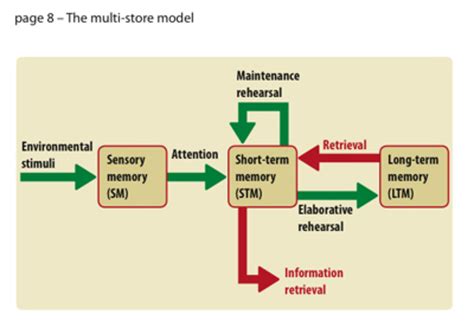 Afbeeldingsresultaten voor The Multi Store Model Table