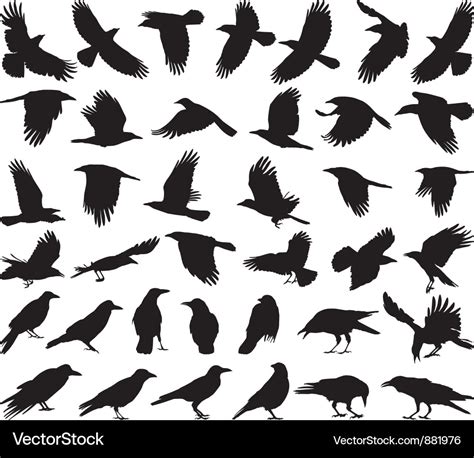 Crow with Sound Wave Vector Image に対する画像結果