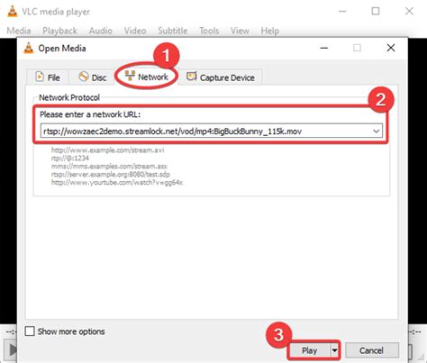 Toradh íomhá ar Stream VLC with Wizard