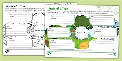 Tree Mind Map Detailed に対する画像結果