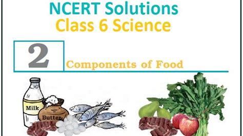 Class 6 Science Components of Food Worksheet に対する画像結果