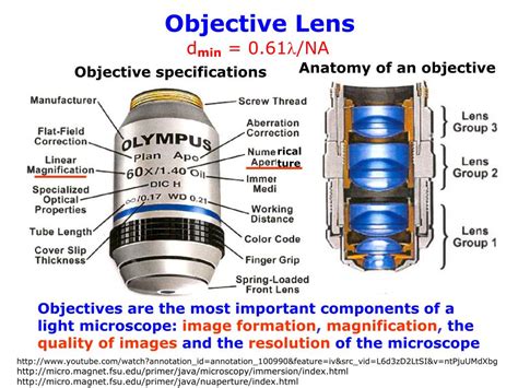 Image result for Objective Lenses Drawing Microscope