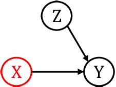 Image result for Structural Causal Model