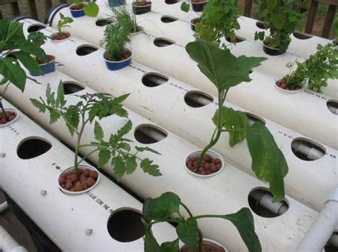 How To Build A Simple DIY Hydroponics System - 23 Easy DIY Hydroponic
