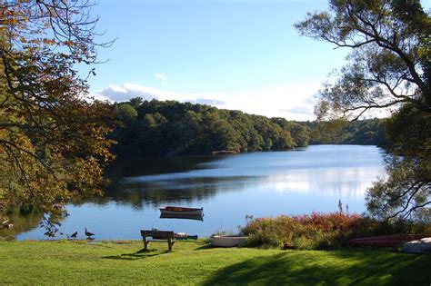 Image result for New England Cape Cod