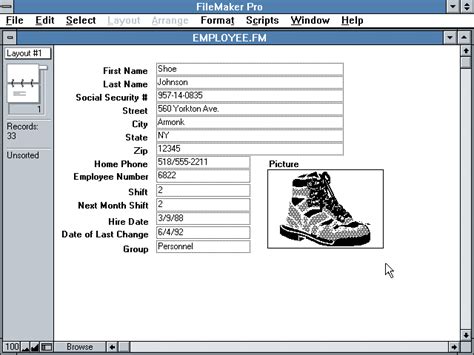 Image result for FileMaker Form