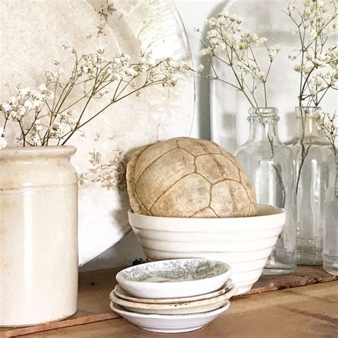 Image result for Bleached Turtle Shell