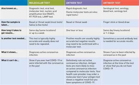 Image result for Categorization Type of Test