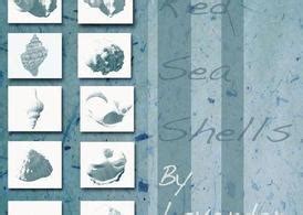 Toradh íomhá ar Red Sea Shells