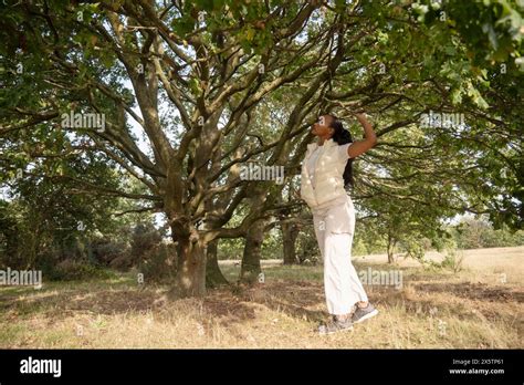 Woman in a Field Next to a Tree に対する画像結果