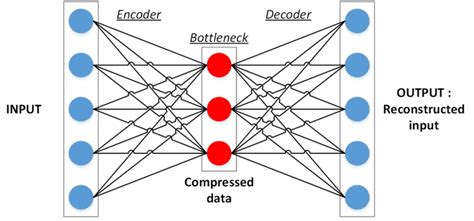 Image result for Pointtransformer Graph Autoencoder Model