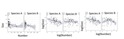Log Graph Shape に対する画像結果
