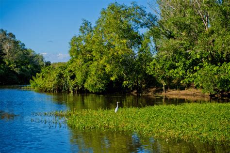 Image result for Billabong Sunset View