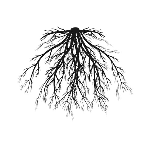 Afbeeldingsresultaten voor Black Tree Root From Java