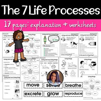 Image result for Movement Life Process Worksheet