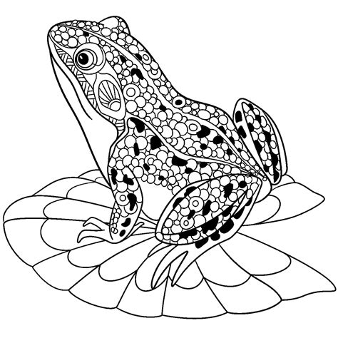 Image result for Spring Frog Coloring Page