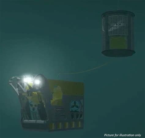 Image result for Heavy Work Class ROV