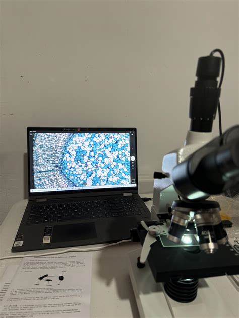 Image result for Nikon Microscope 5000X Magnification