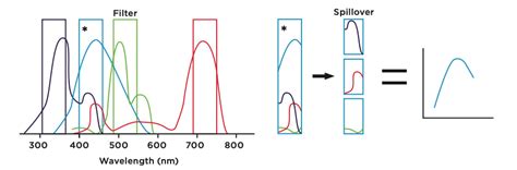 Image result for Full Spectral Flow Cytometry
