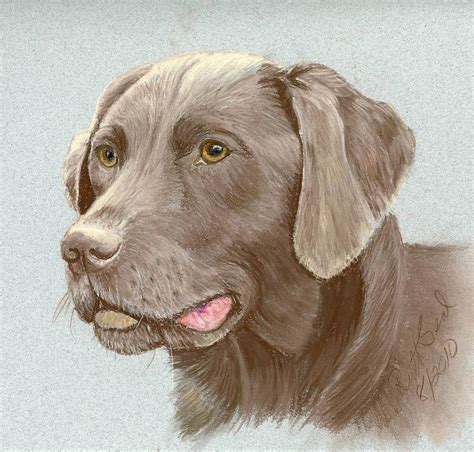 Afbeeldingsresultaten voor Labrador Painting