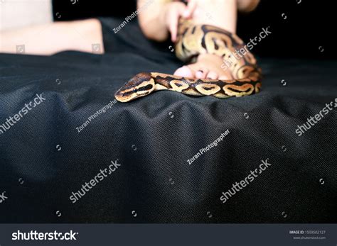 Image result for Legs Wrap Like Python