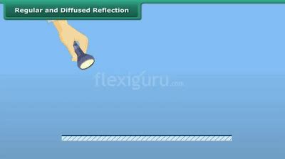 Diffuse Light Reflection에 대한 이미지 결과