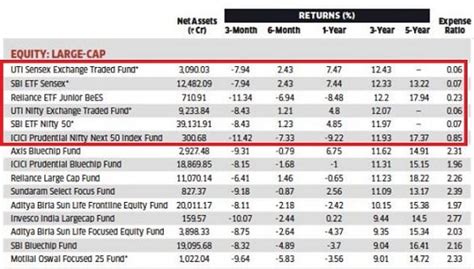 Image result for Large Cap Stock Index Fund