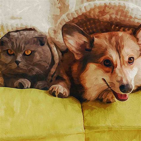 Image result for To My Gearation Refrigerator Magnets