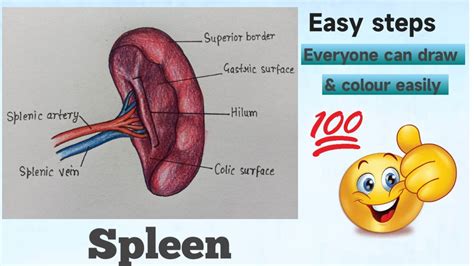 Toradh íomhá ar Example of Principle Conjuntive Normal Form