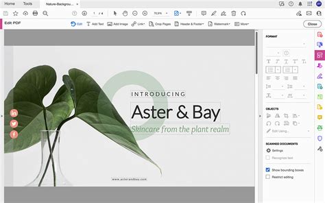 Image result for How to Convert PDF to PowerPoint