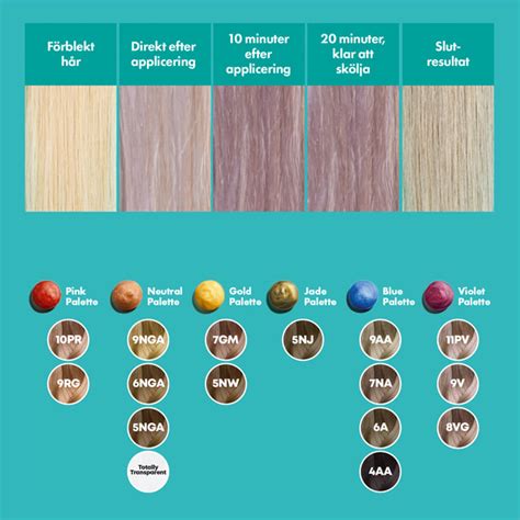 Image result for Matrix Color Fill Chart