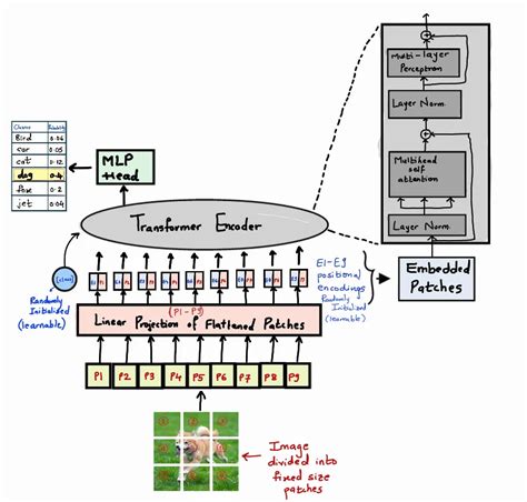 Toradh íomhá ar Computer Vision in Ml Graph